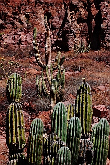 Ensenada Grande, Isla Partida, Islas Espiritu Santos, Baja California Sur, Sea of Cortez, Mexico