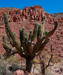 Ensenada Grande, Isla Partida, Islas Espiritu Santos, Baja California Sur, Sea of Cortez, Mexico