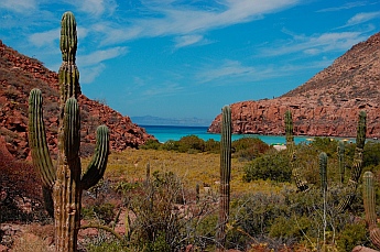 Ensenada Grande, Isla Partida, Islas Espiritu Santos, Baja California Sur, Sea of Cortez, Mexico