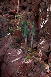 Ensenada Grande, Isla Partida, Islas Espiritu Santos, Baja California Sur, Sea of Cortez, Mexico