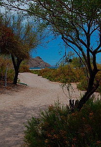 Puerto Agua Verde, Baja California Sur, Sea of Cortez, Mexico