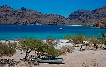 Puerto Agua Verde, Baja California Sur, Sea of Cortez, Mexico