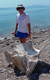 Whale bone, Ensenada de la Ballena / Bahia Berrendo, Baja California Sur, Sea of Cortez, Mexico