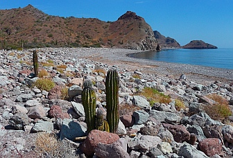 beach, Ensenada de la Ballena / Bahia Berrendo, Baja California Sur, Sea of Cortez, Mexico