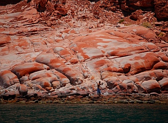 Puerto Los Gatos, Baja California Sur, Sea of Cortez, Mexico