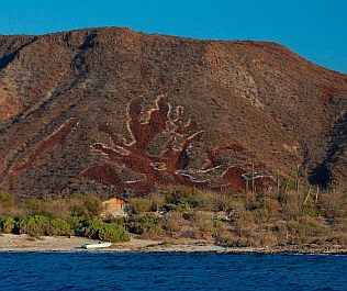 Isla Requeson, Bahia Concepcion, Sea of Cortez, Baja California Sur, Mexico
