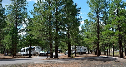 National Forest Service campground, Bonito Campground, Flagstaff, AZ