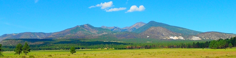 Flagstaff's San Francisco peaks seen across the meadow outside Bonito Campground.