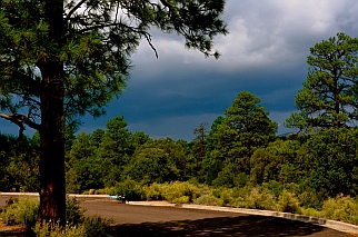 Imminent thunderstorm and downpour in Coconino National Forest outside Sunset Crater National Monument