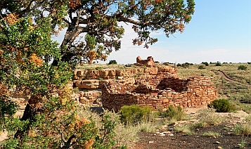 Box Canyon Dwellings in Wupatki National Monument.