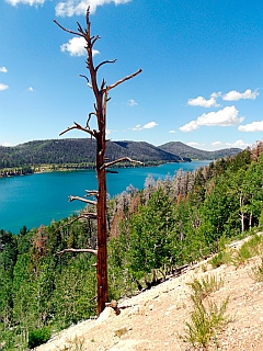 Navajo Lake scenic overlook, Dixie National Forest, Utah