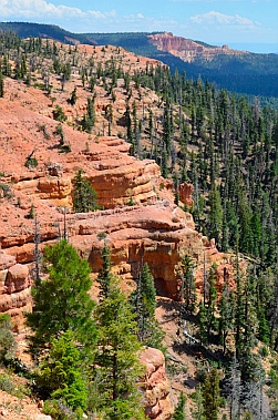 Awesome views, Cascade Falls hike, Dixie National Forest, Utah