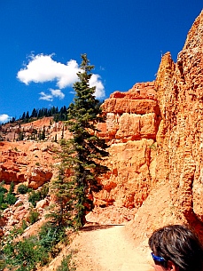 Hiking path on Cascade Falls hike, Dixie National Forest, Utah