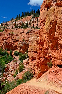 Stunning vistas, Cascade Falls hike, Dixie National Forest, Utah