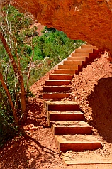 Well-built stairs on Cascade Falls hike, Dixie National Forest, Utah
