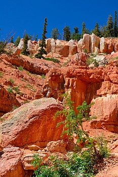 Gorgeous red rocks, Cascade Falls hike, Dixie National Forest, Utah