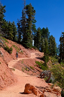 Well groomed trail on Cascade Falls hike, Dixie National Forest, Utah