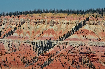 Red rock views at Cedar Breaks National Monument, Utah