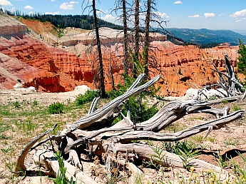 Stunning views at Cedar Breaks National Monument, Utah