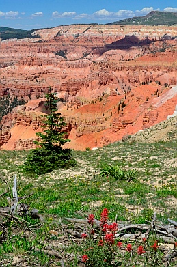 Cedar Breaks National Monument, Utah