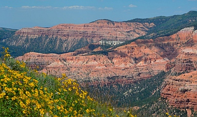 Wildflowers and red rock views, Cedar Breaks National Monument, Utah