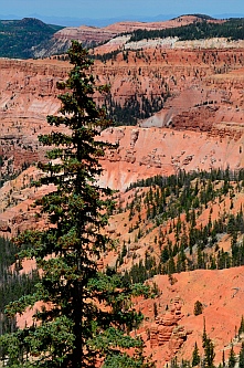 Stunning views at Cedar Breaks National Monument, Utah