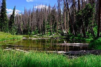 Alpine Pond, Cedar Breaks National Monument, Utah