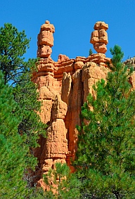 Red Canyon hoodoos.