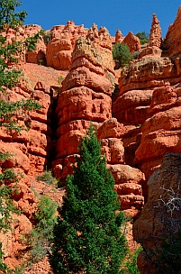 Views on Pink Ledges Trail, Red Canyon, Utah.