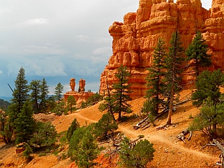 Views on Pink Ledges Trail, Red Canyon, Utah.