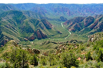 Sycamore Canyon, Kaibab National Forest, Williams, Arizona