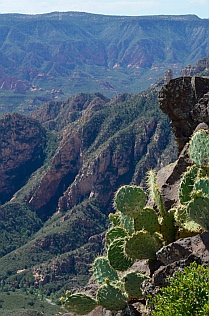 Sycamore Canyon, Williams AZ