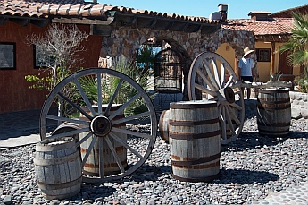 Lovely landscaping at Punta Chivato, Sea of Cortez, Mexico