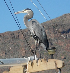 Playa Coyote in Bahia Concepcion, Sea of Cortez, Mexico