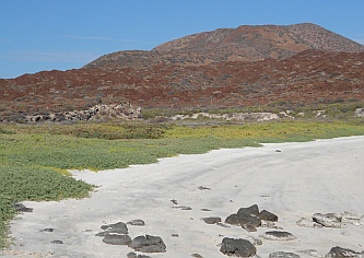 Vivid colors at our private beach on Isla Coronado, Sea of Cortez.