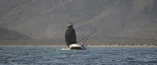 Los Candeleros, outside Puerto Escondido, BCS, Sea of Cortez, Mexico