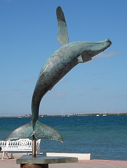 Breaching whale on the malec&ograve;n in La Paz, BCS, Mexico