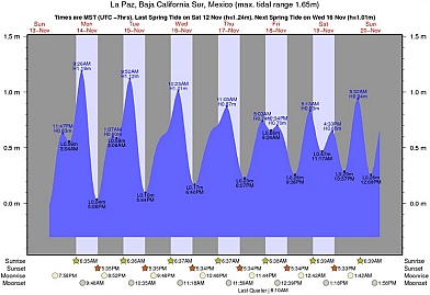 La Paz, BCS, Mexico has odd interim tides between true high and low.