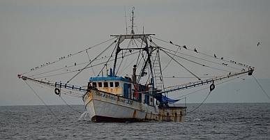 A shrimper outside Papanoa, Mexico.