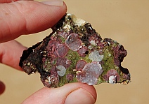 Beach treasure at the Bays of Huatulco, Mexico