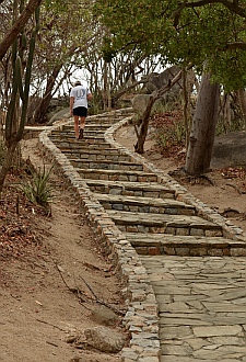 Stone path leads through the jungle to an ocean overlook in the Copalita Eco-Archaeology park the Bah&iacute;as de Huatulco, Mexico