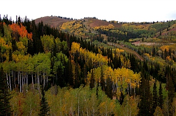 Back side of Park City, Utah in Fall.