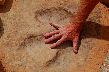 Dinosaur footprint fossil, San Rafael Swell, Utah