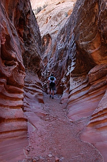 Little Wild Horse Canyon, Utah