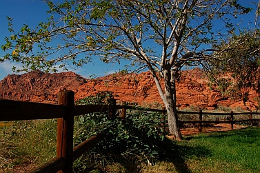 Snow Canyon State Park, St. George Utah
