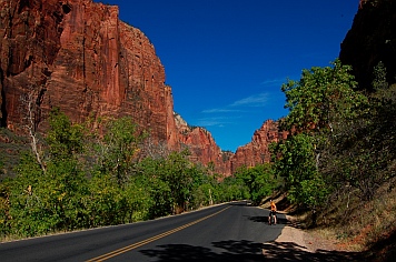 Zion National Park, Utah