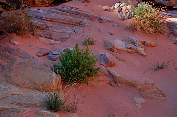 Valley of Fire State Park, Las Vegas, Nevada