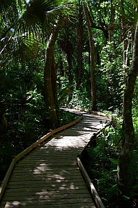 Alexander Springs State Park Florida