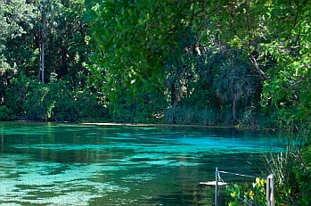 Alexander Springs State Park Florida