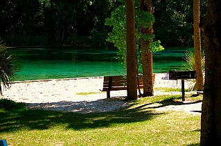 Alexander Springs State Park Florida